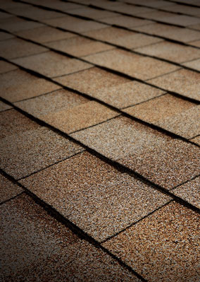 Economic Roofing Services Images