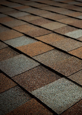 Economic Roofing Services Images