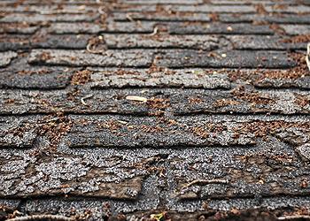 Economic Roofing Images